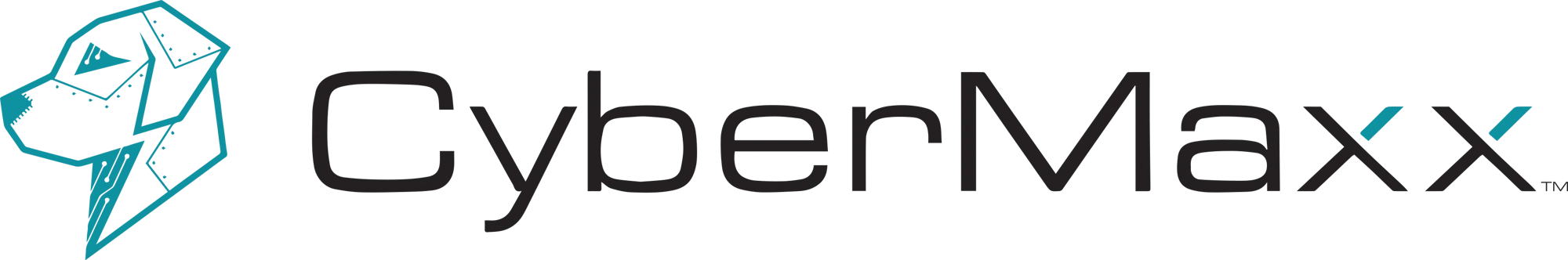cybermaxx-logo